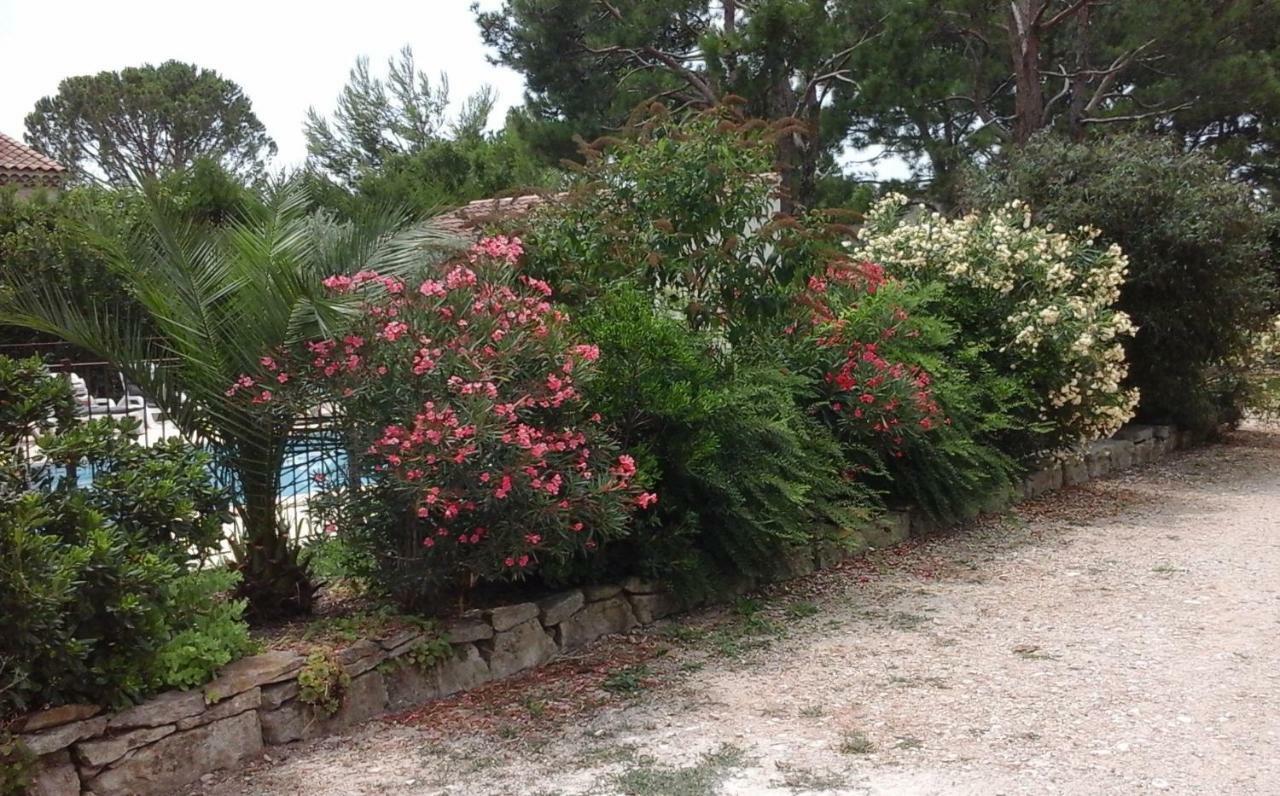 Apartment Les Buis Carpentras
