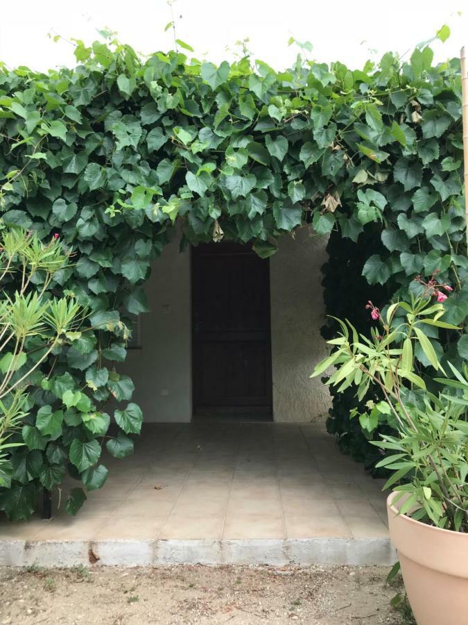Apartment Les Buis Carpentras