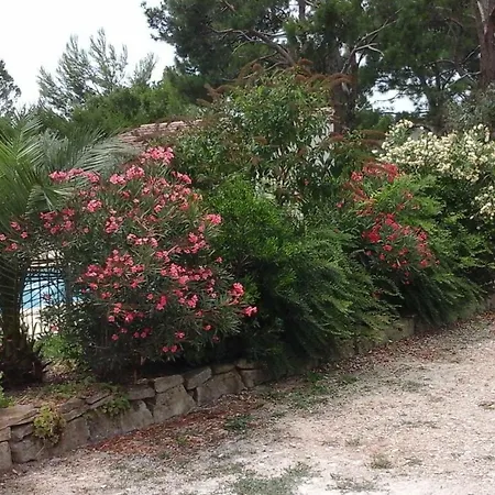 Les Buis Appartement Carpentras Buitenkant foto